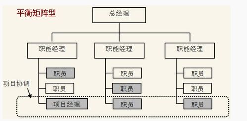 金融行業項目投資管理中的組織結構設計與優化